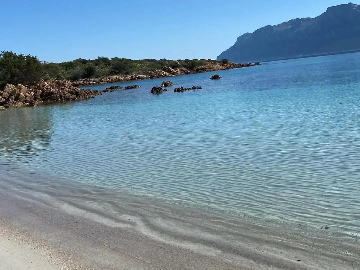 Oasy Home Sul Mare 奧爾比亞