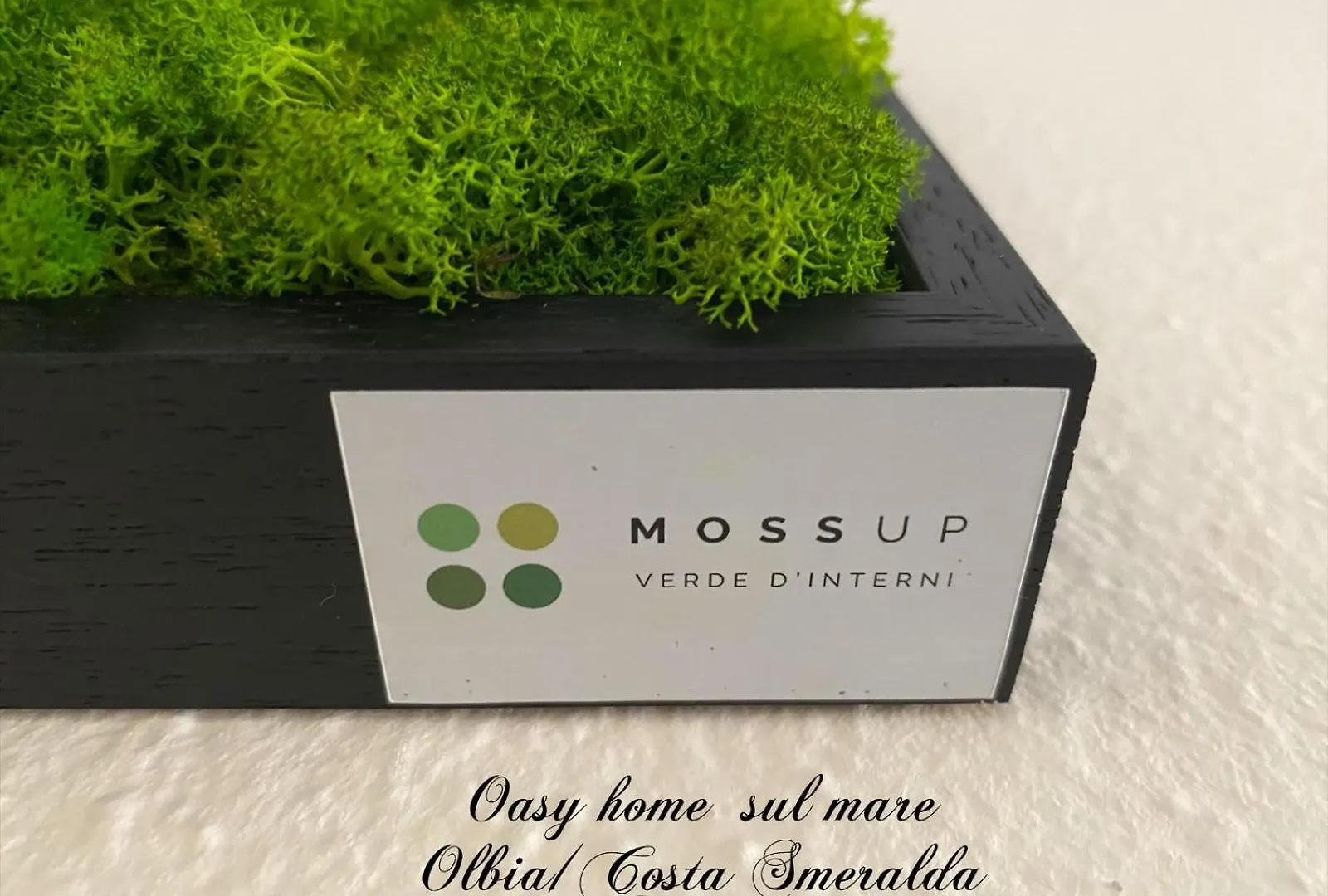 公寓 Oasy Home Sul Mare 奧爾比亞